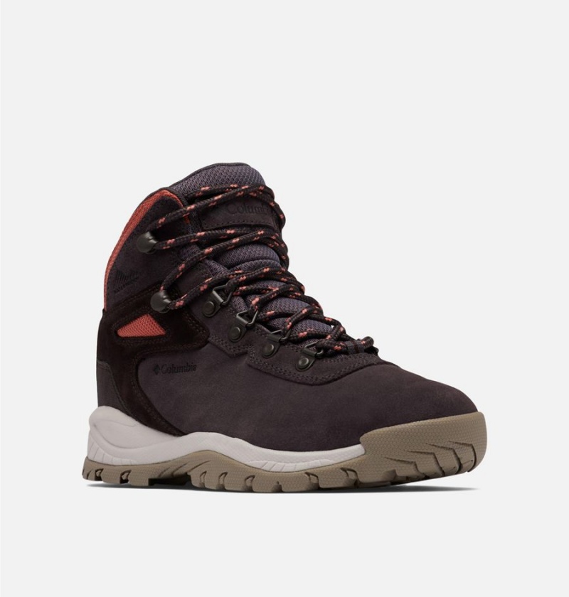 Columbia Newton Ridge Plus Waterproof Amped Boot Women's Hiking Shoes Black | UCGSDI-395