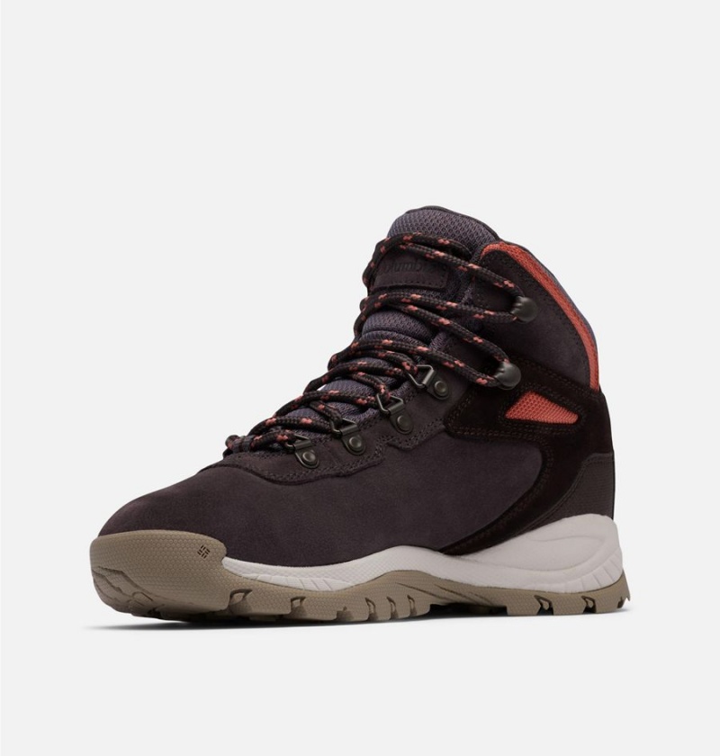 Columbia Newton Ridge Plus Waterproof Amped Boot Women's Hiking Shoes Black | UCGSDI-395