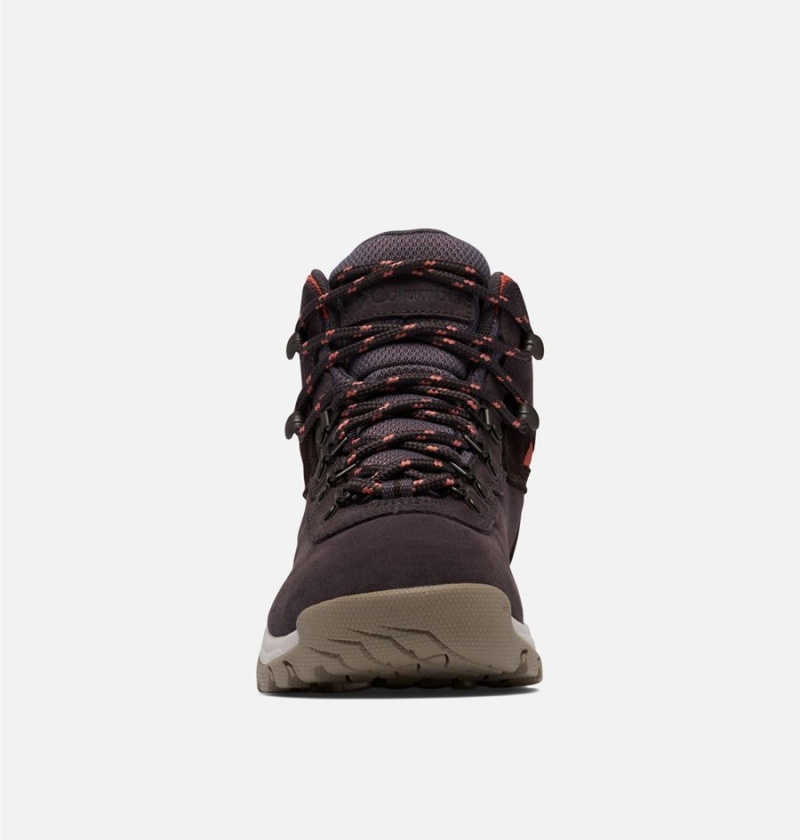 Columbia Newton Ridge Plus Waterproof Amped Boot Women's Hiking Shoes Black | UCGSDI-395