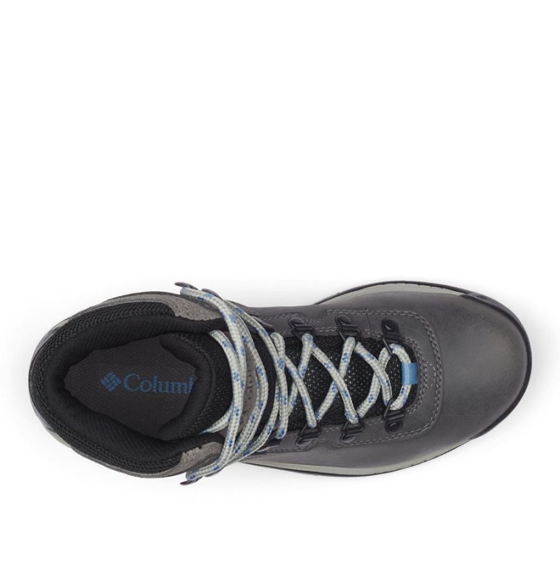 Columbia Newton Ridge Plus Waterproof Boot Women's Hiking Shoes Grey | QJILZF-140