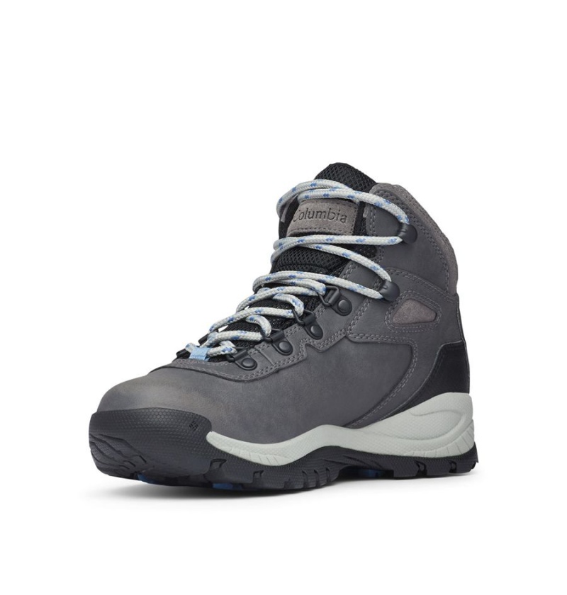 Columbia Newton Ridge Plus Waterproof Boot Women's Hiking Shoes Grey | QJILZF-140