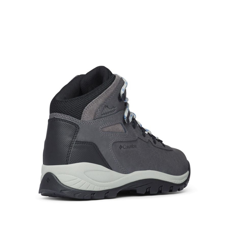 Columbia Newton Ridge Plus Waterproof Boot Women's Hiking Shoes Grey | QJILZF-140