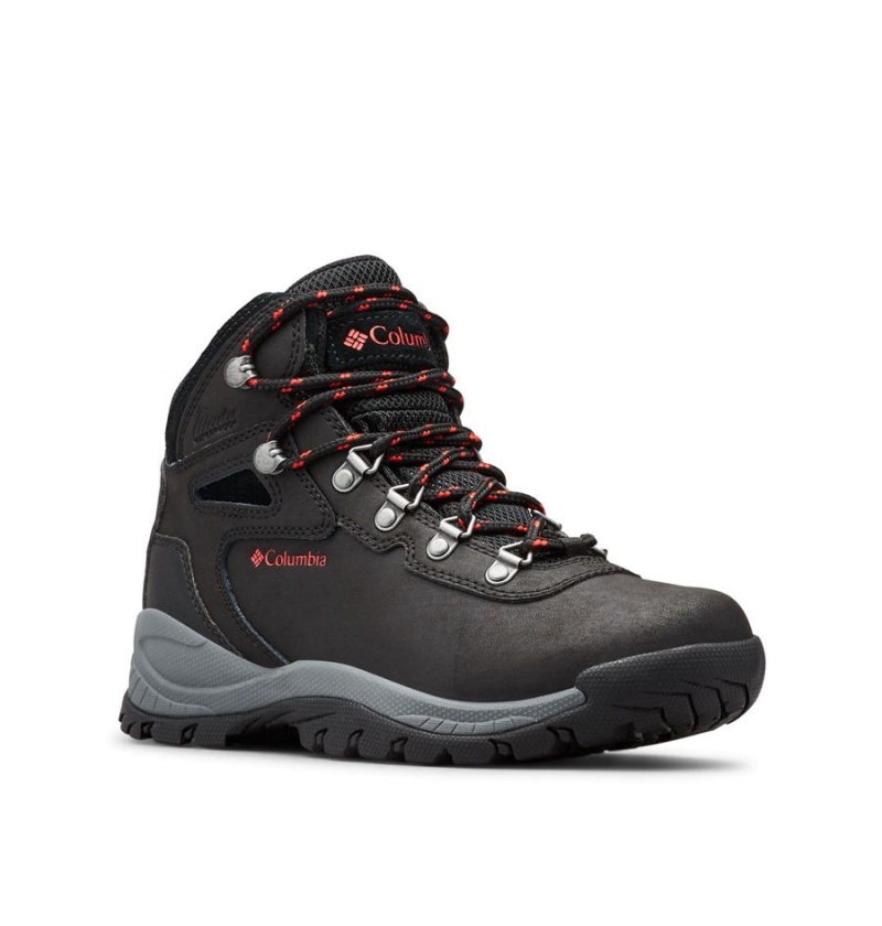 Columbia Newton Ridge Plus Waterproof Boot Women's Hiking Shoes Black | PDAWUB-934
