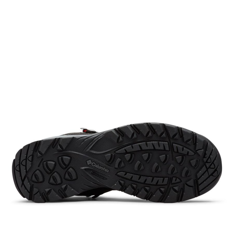 Columbia Newton Ridge Plus Waterproof Boot Women's Hiking Shoes Black | PDAWUB-934