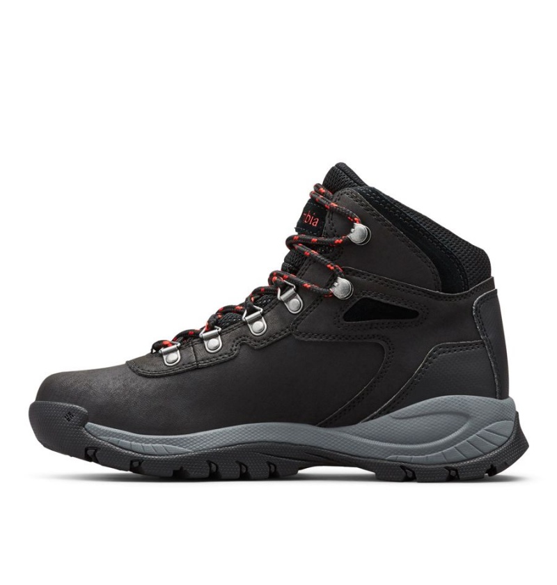 Columbia Newton Ridge Plus Waterproof Boot Women's Hiking Shoes Black | PDAWUB-934