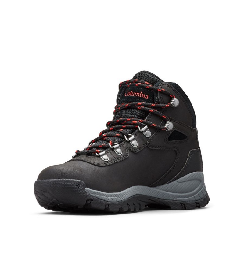 Columbia Newton Ridge Plus Waterproof Boot Women's Hiking Shoes Black | PDAWUB-934