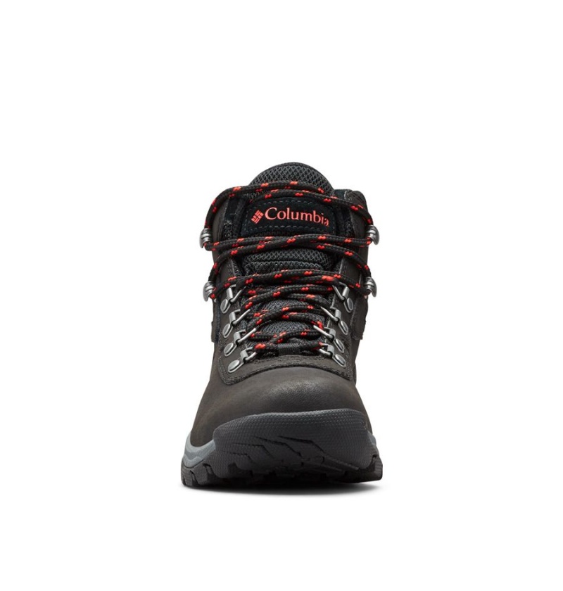 Columbia Newton Ridge Plus Waterproof Boot Women's Hiking Shoes Black | PDAWUB-934