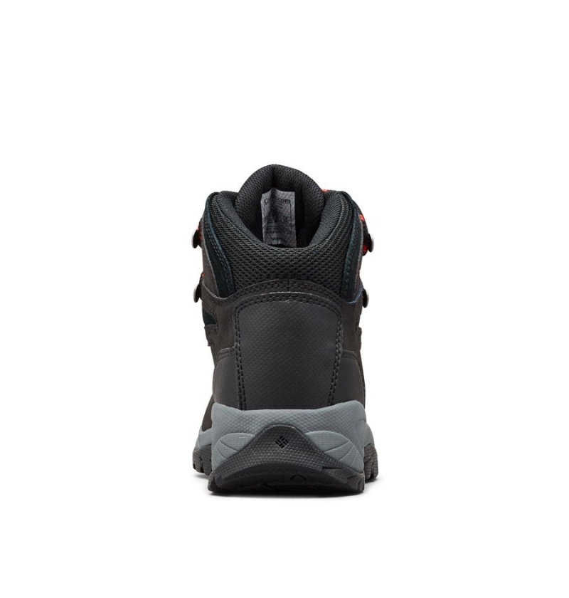 Columbia Newton Ridge Plus Waterproof Boot Women's Hiking Shoes Black | PDAWUB-934