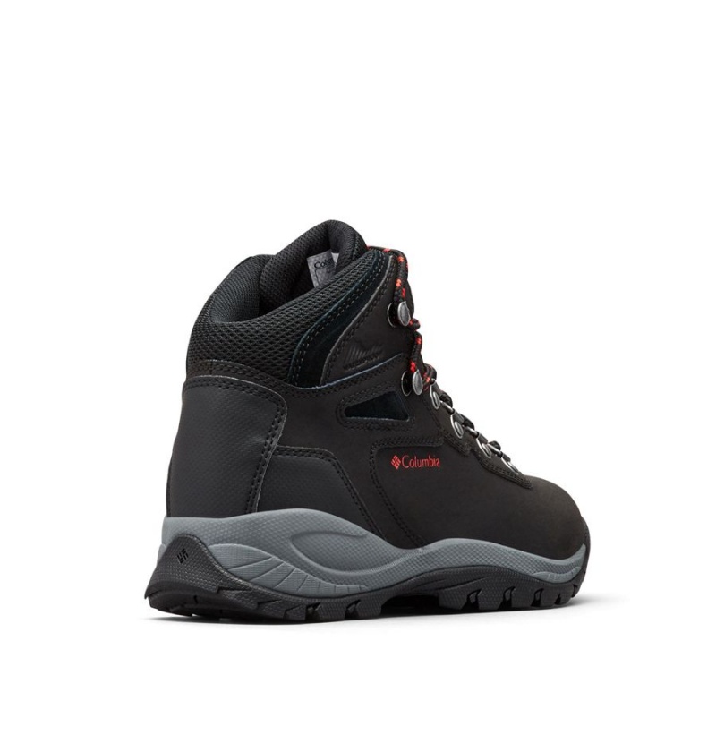 Columbia Newton Ridge Plus Waterproof Boot Women's Hiking Shoes Black | PDAWUB-934