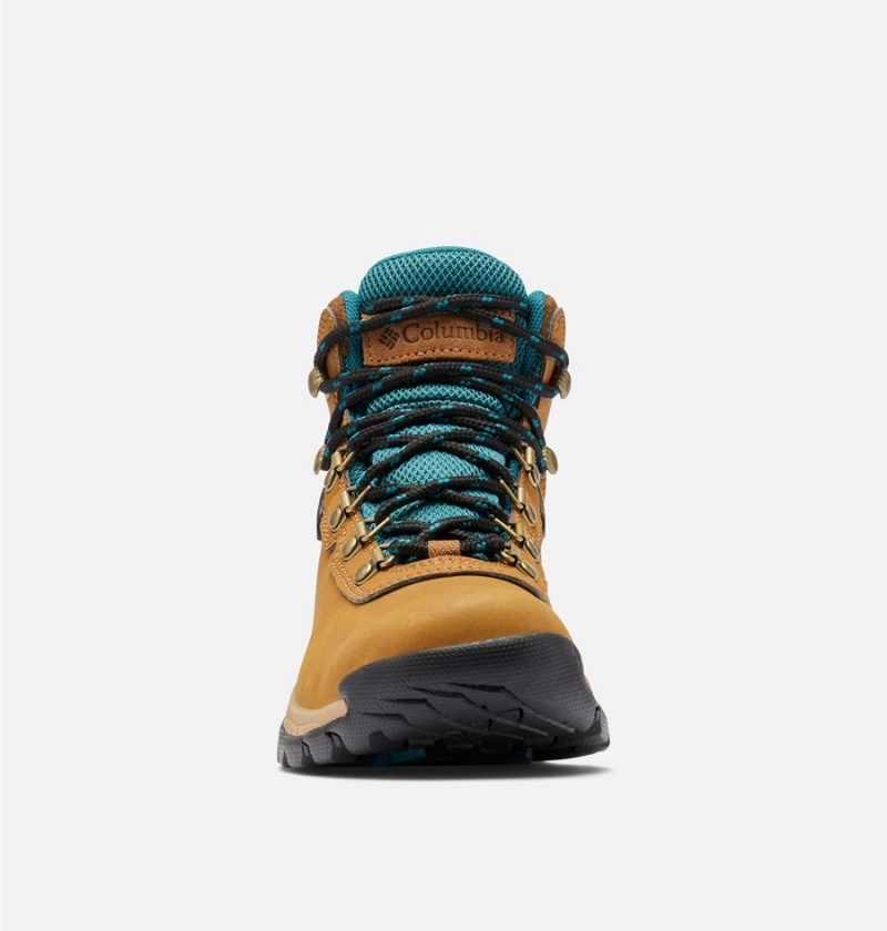 Columbia Newton Ridge Plus Waterproof Boot Women's Hiking Shoes Brown | HULXIM-791