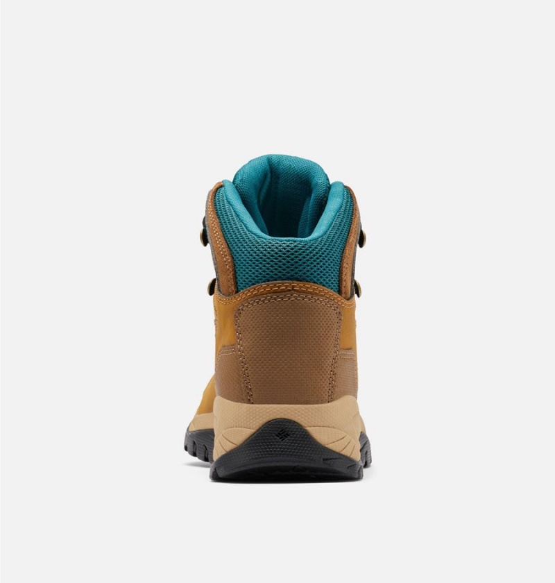 Columbia Newton Ridge Plus Waterproof Boot Women's Hiking Shoes Brown | HULXIM-791