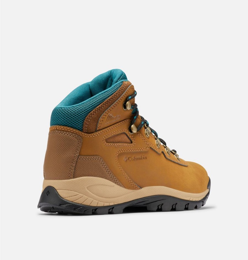 Columbia Newton Ridge Plus Waterproof Boot Women's Hiking Shoes Brown | HULXIM-791