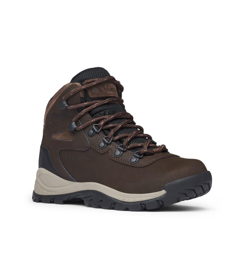 Columbia Newton Ridge Plus Waterproof Boot Women's Hiking Shoes Brown | ZYLWCF-396