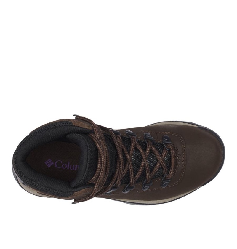 Columbia Newton Ridge Plus Waterproof Boot Women's Hiking Shoes Brown | ZYLWCF-396