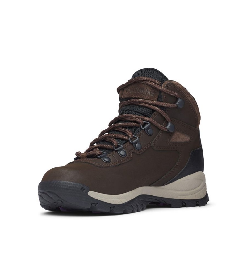 Columbia Newton Ridge Plus Waterproof Boot Women's Hiking Shoes Brown | ZYLWCF-396