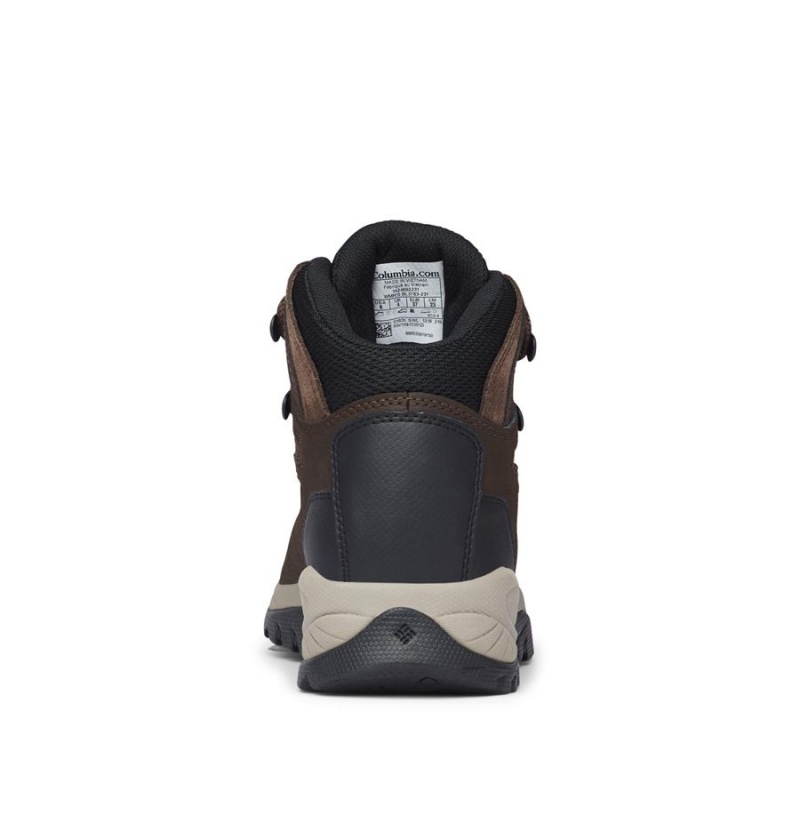 Columbia Newton Ridge Plus Waterproof Boot Women's Hiking Shoes Brown | ZYLWCF-396