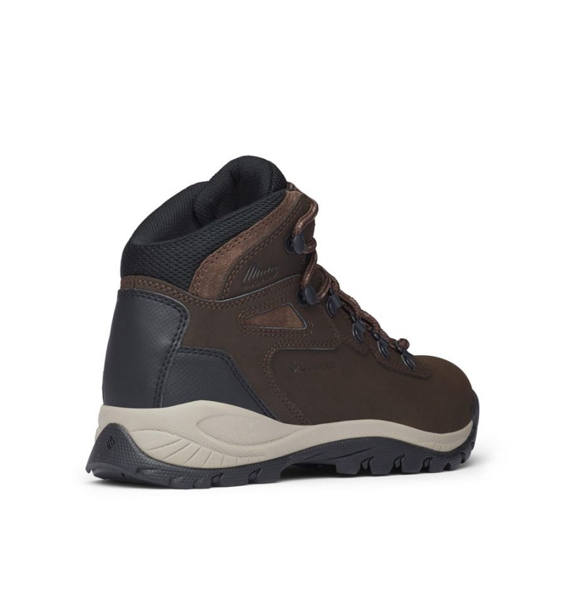 Columbia Newton Ridge Plus Waterproof Boot Women's Hiking Shoes Brown | ZYLWCF-396