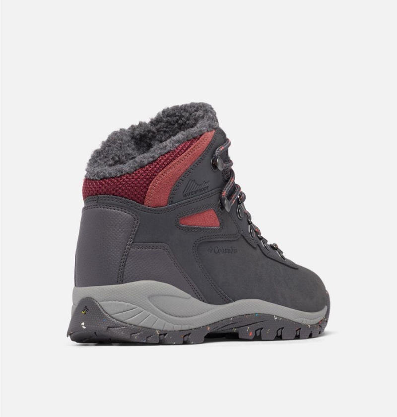Columbia Newton Ridge Waterproof Omni Heat II Boot Women's Hiking Shoes Beige | SUPITM-893