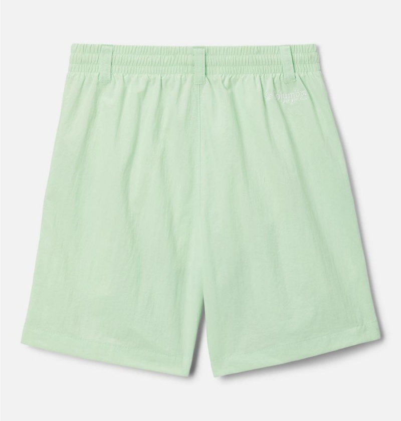 Columbia PFG Backcast Kids' Shorts Green | MRYONH-306