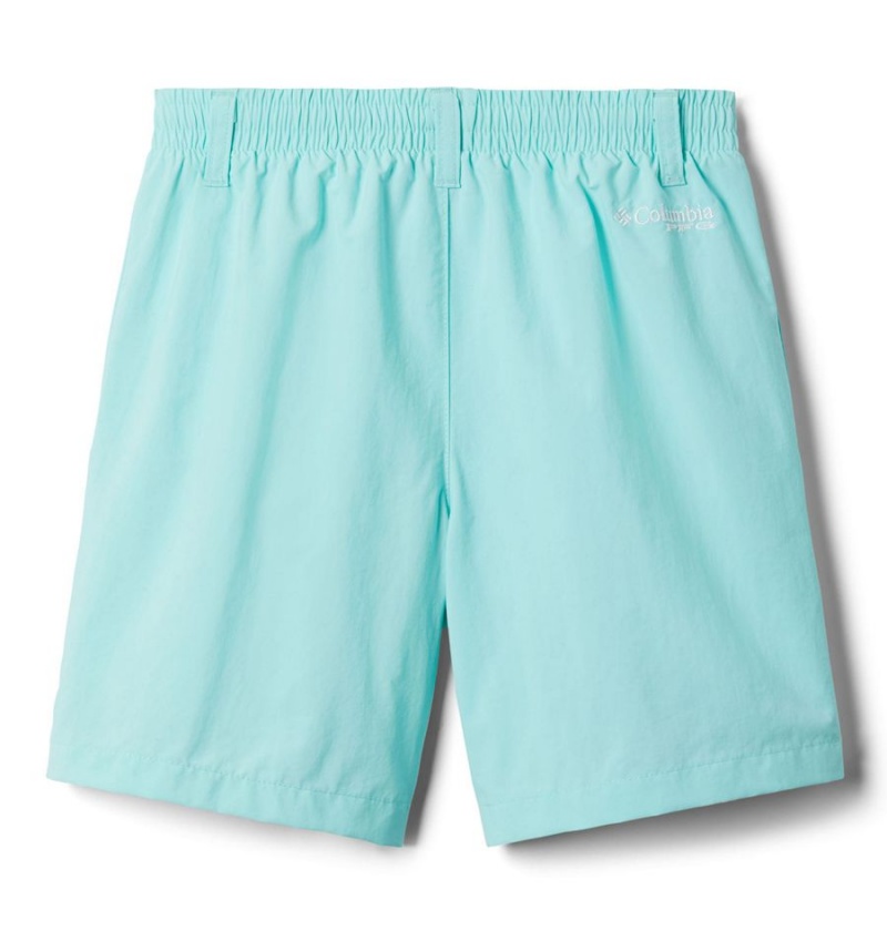 Columbia PFG Backcast Kids' Shorts Turquoise | HIOKAR-687