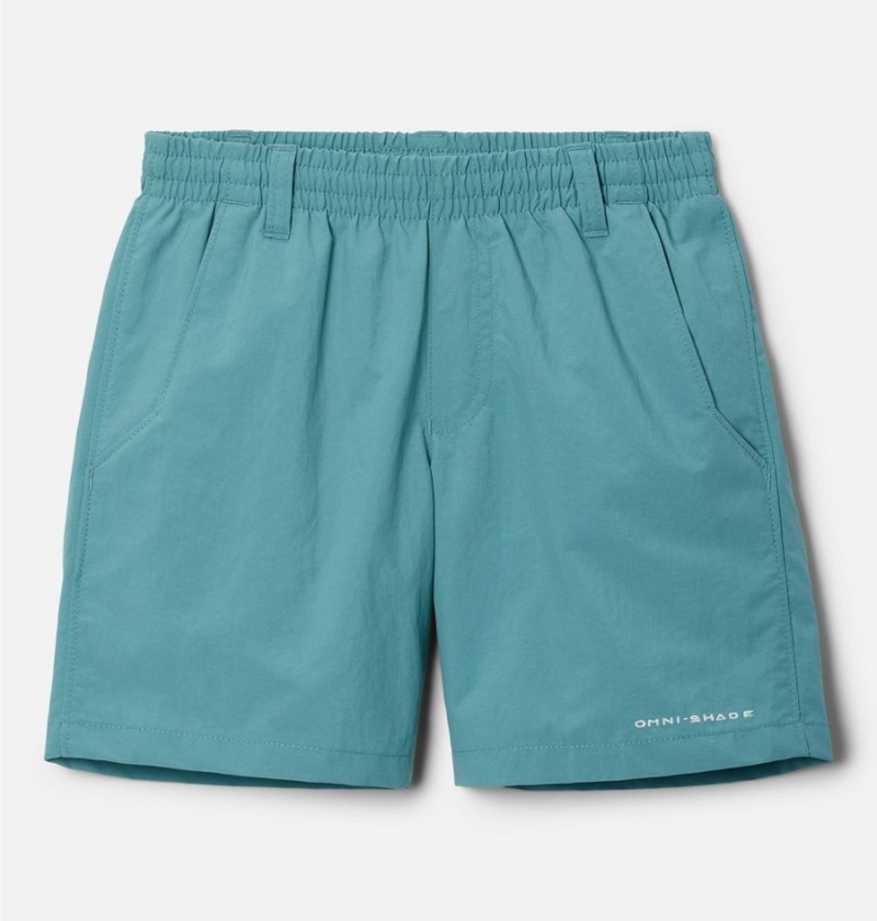 Columbia PFG Backcast Kids\' Shorts Turquoise | GBPJYN-207