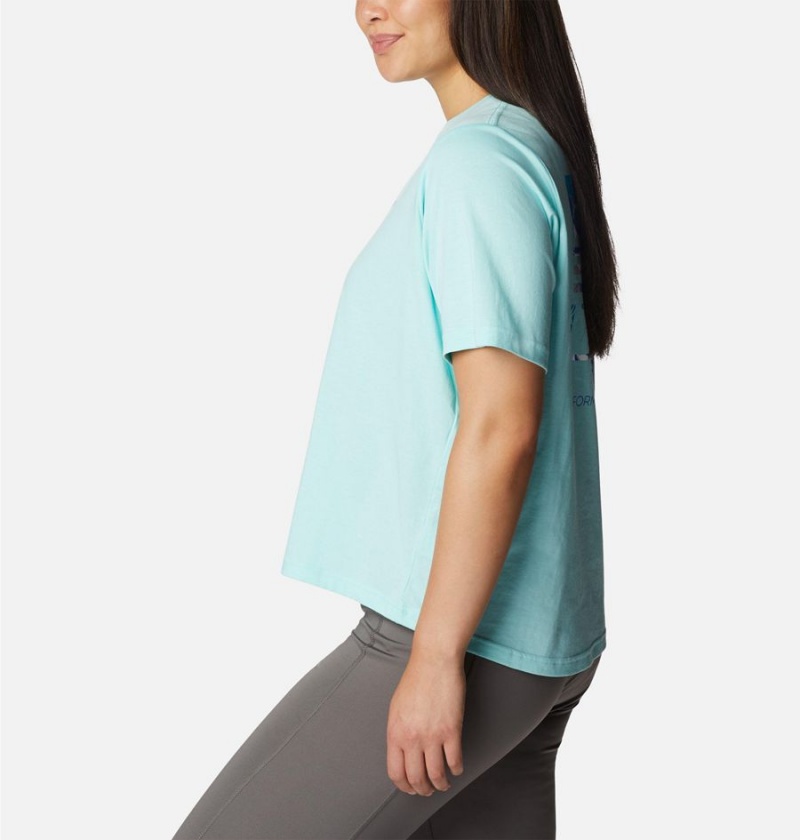 Columbia PFG Bramley Bay Relaxed Women's T-Shirt Blue | TBMGRS-928