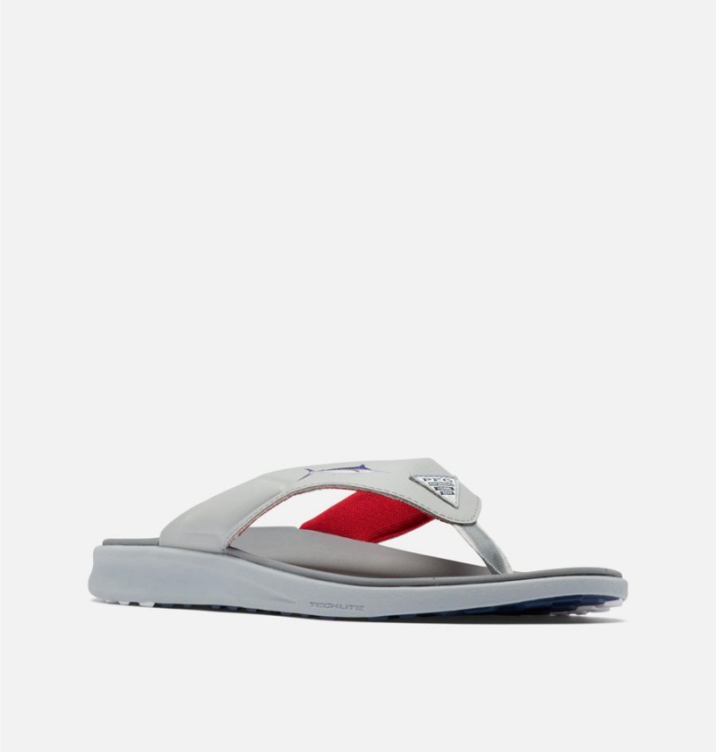 Columbia PFG Fish Flip II Men's Sandals Grey | HESUDJ-569