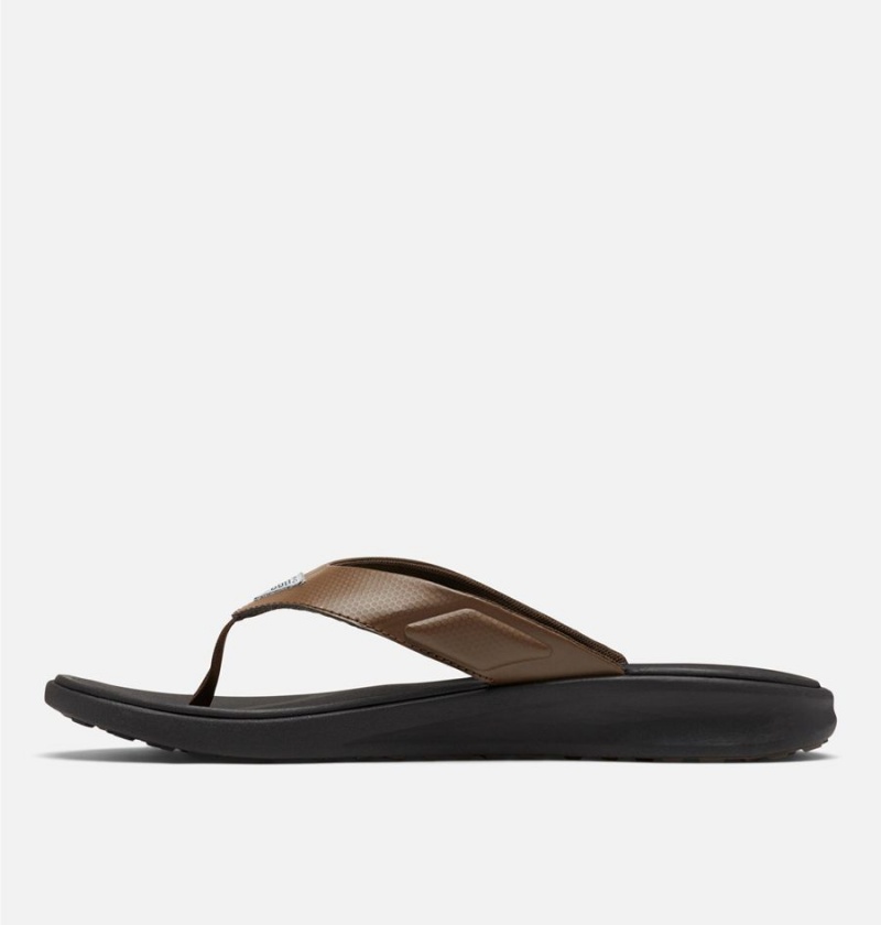 Columbia PFG Rostra Beachcomber Flip Flop Men's Sandals Brown | FVYDQC-574
