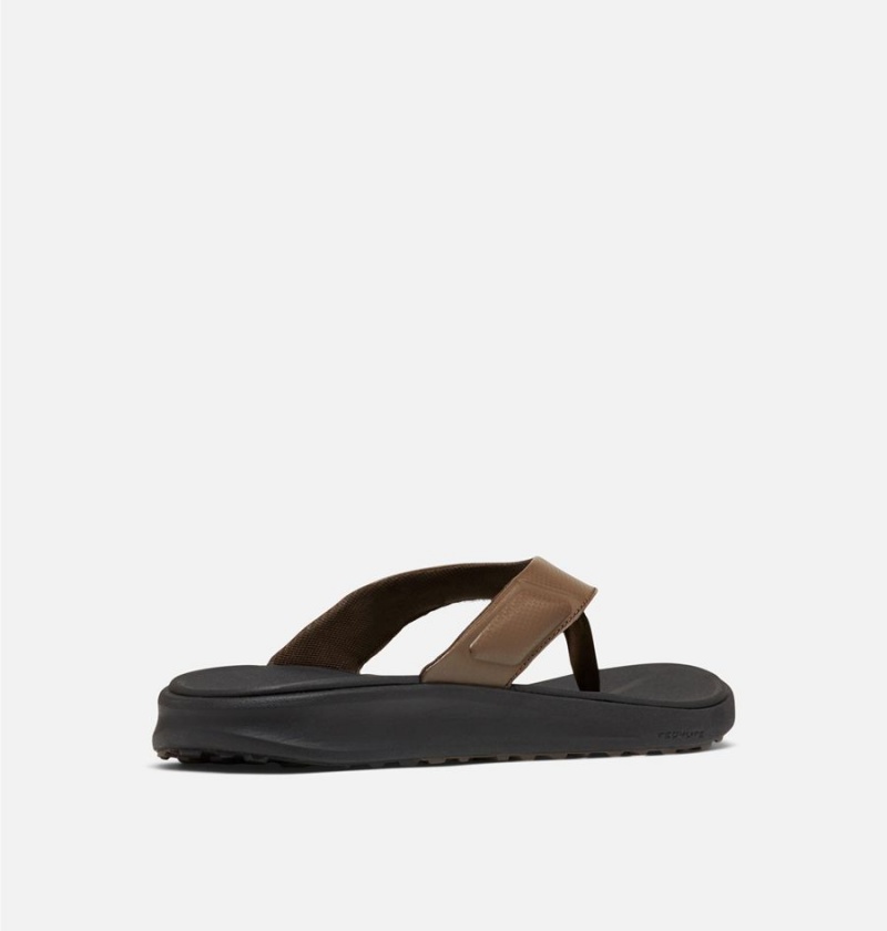 Columbia PFG Rostra Beachcomber Flip Flop Men's Sandals Brown | FVYDQC-574