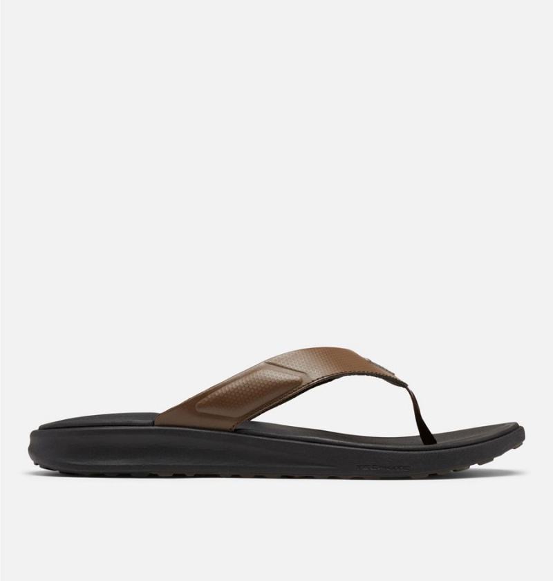 Columbia PFG Rostra Beachcomber Flip Flop Men\'s Sandals Brown | FVYDQC-574