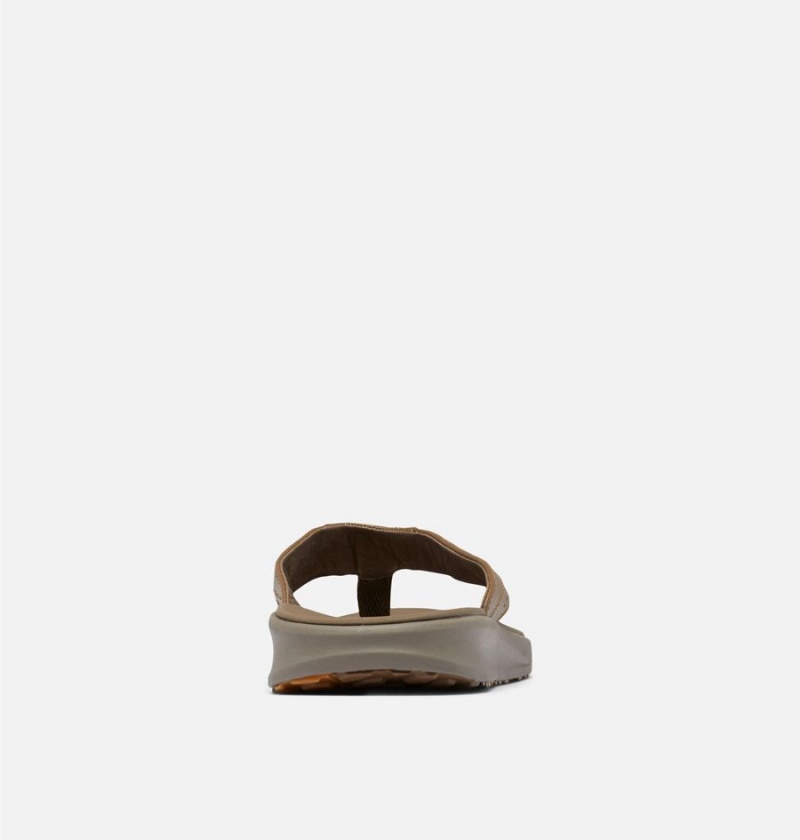 Columbia PFG Rostra Beachcomber LE Flip Flop Men's Sandals Brown | SOHKPJ-430