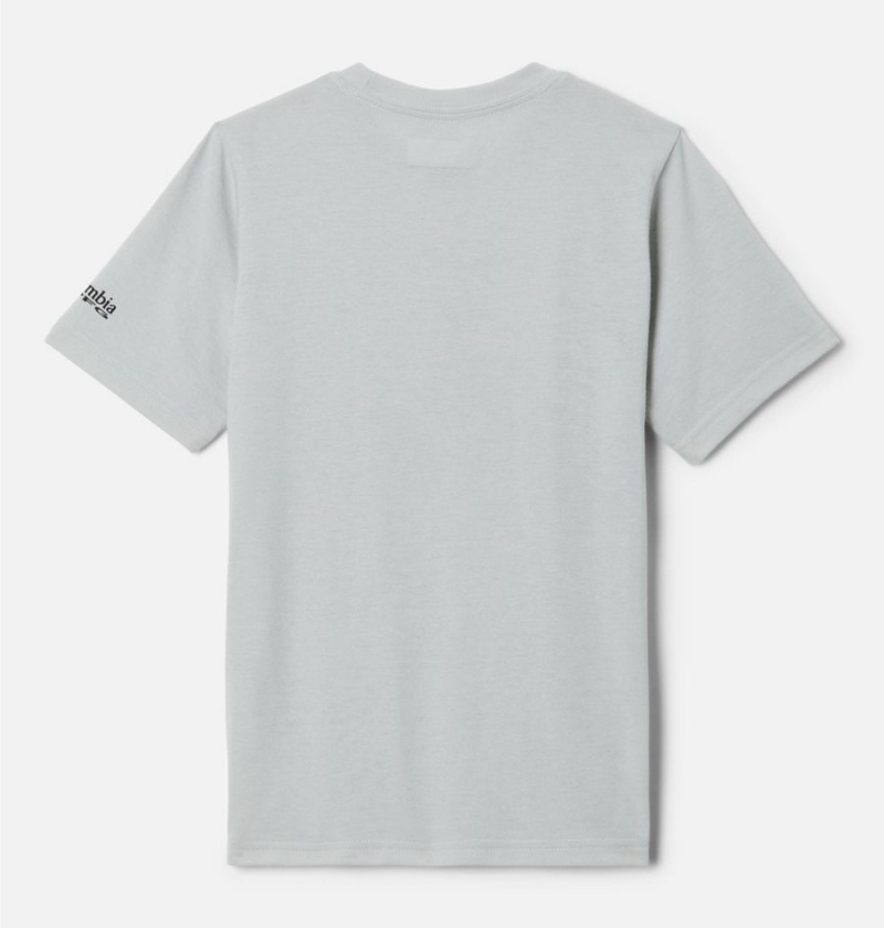 Columbia PFG Short Sleeve Seasonal Graphic Kids' T-Shirt Grey | ODVJKX-352