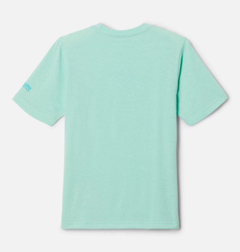Columbia PFG Short Sleeve Seasonal Graphic Kids' T-Shirt Green | FURZBX-187