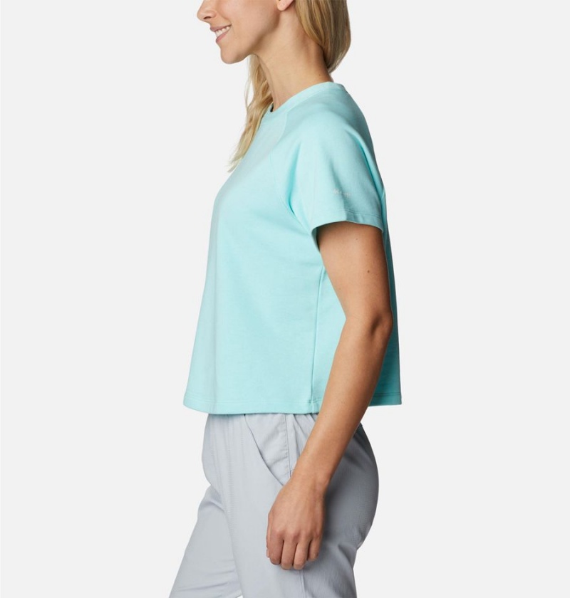 Columbia PFG Slack Water French Terry Women's T-Shirt Blue | NEYUQO-296