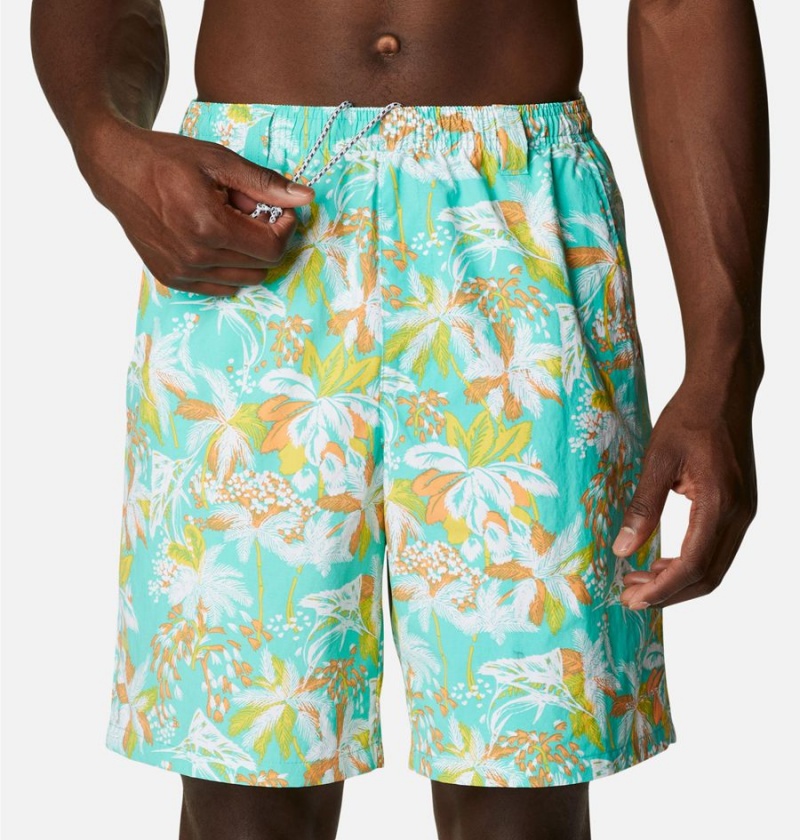 Columbia PFG Super Backcast Water Men's Shorts Turquoise | RYWKNL-731