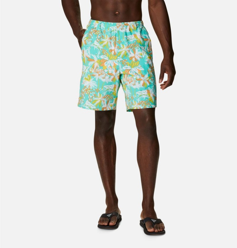 Columbia PFG Super Backcast Water Men\'s Shorts Turquoise | RYWKNL-731