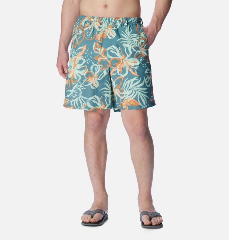 Columbia PFG Super Backcast Water Men\'s Shorts Multicolor | HJXBYI-492