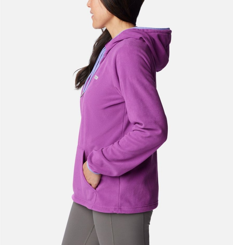 Columbia PFG Tidal Fleece Women's Hoodie Purple | EQNVSI-120