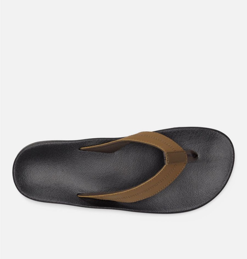 Columbia PFG Tidal Ray Flip Flop Men's Sandals Olive | OCPUVJ-042