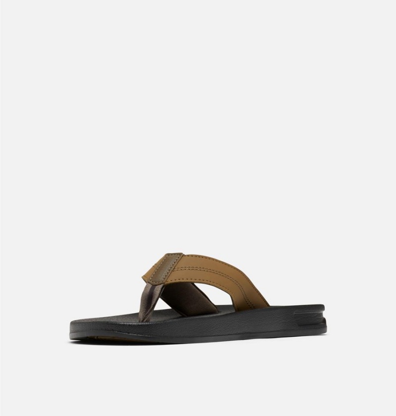 Columbia PFG Tidal Ray Flip Flop Men's Sandals Olive | OCPUVJ-042