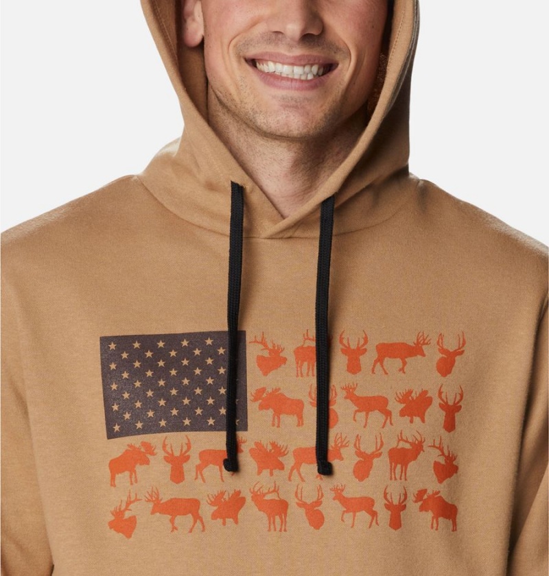 Columbia PHG Game Flag II Men's Hoodie Brown | ACGVHT-429