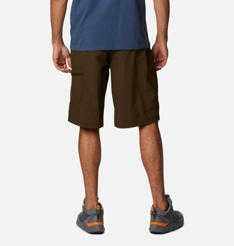Columbia Palmerston Peak Water Men's Shorts Brown | NQLPTY-495
