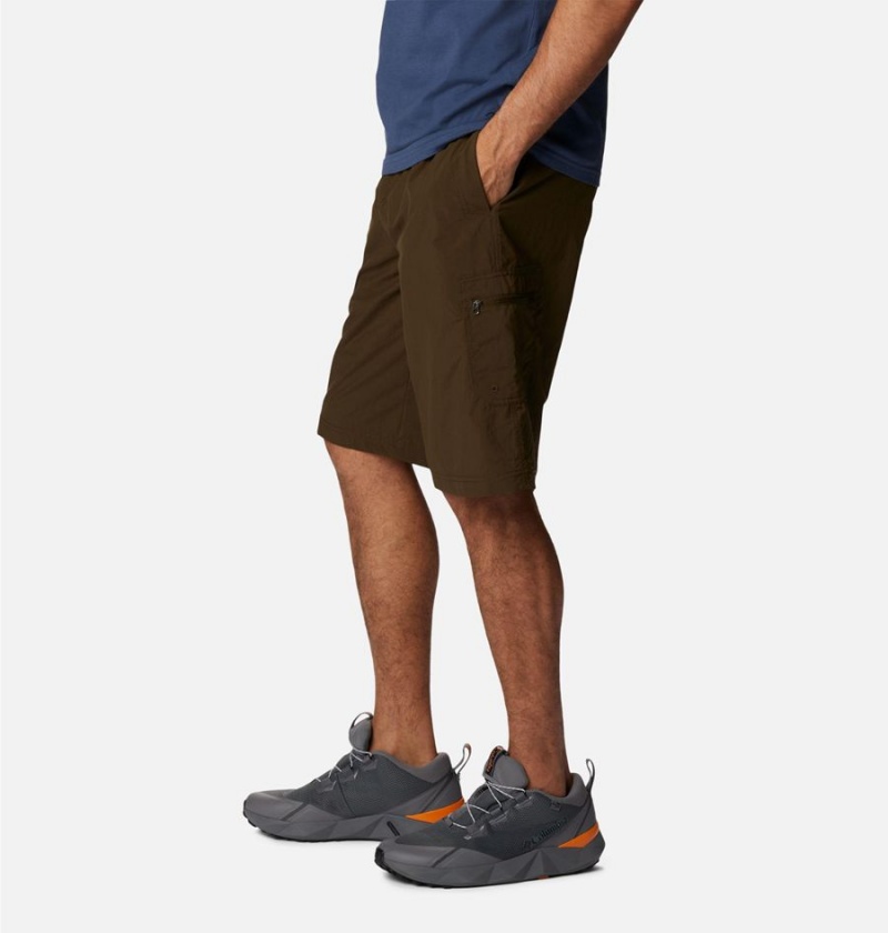 Columbia Palmerston Peak Water Men's Shorts Brown | NQLPTY-495