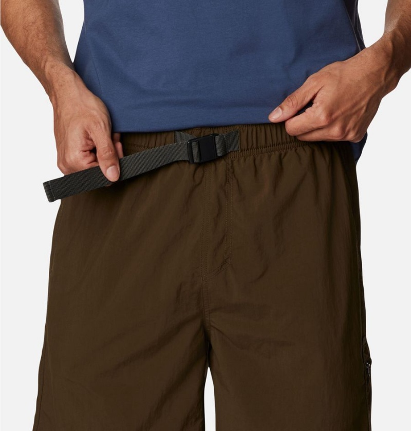 Columbia Palmerston Peak Water Men's Shorts Brown | NQLPTY-495