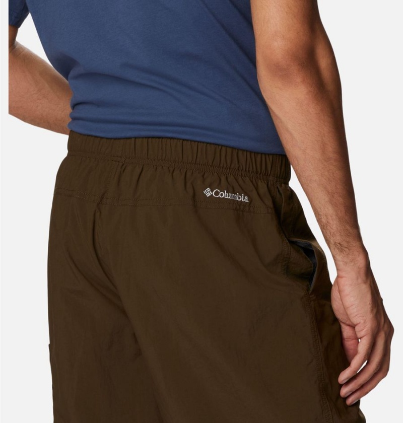Columbia Palmerston Peak Water Men's Shorts Brown | NQLPTY-495