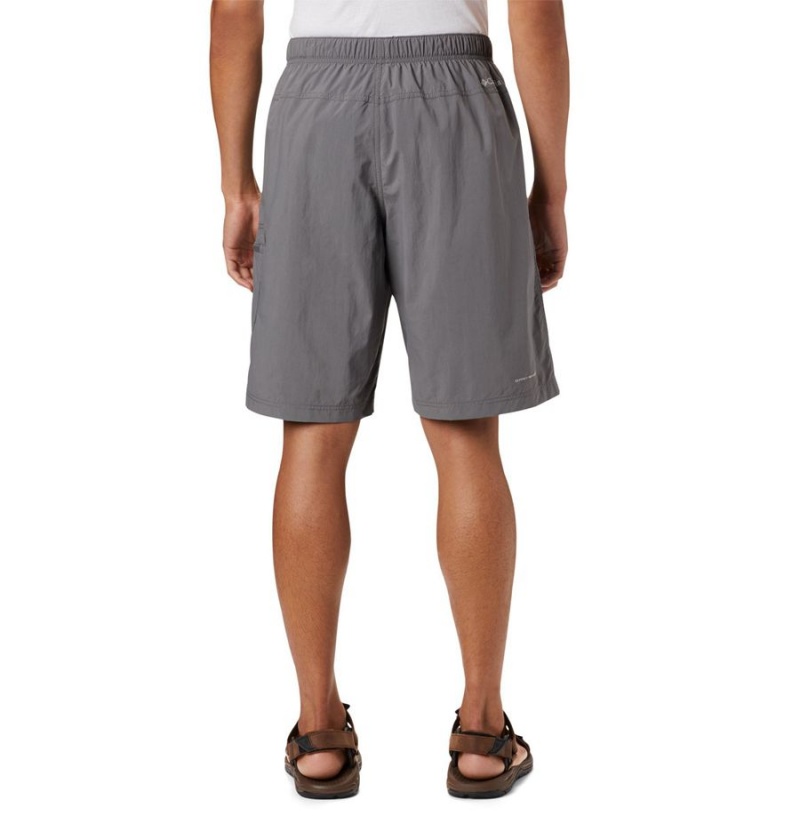 Columbia Palmerston Peak Water Men's Shorts Grey | SDPITF-956