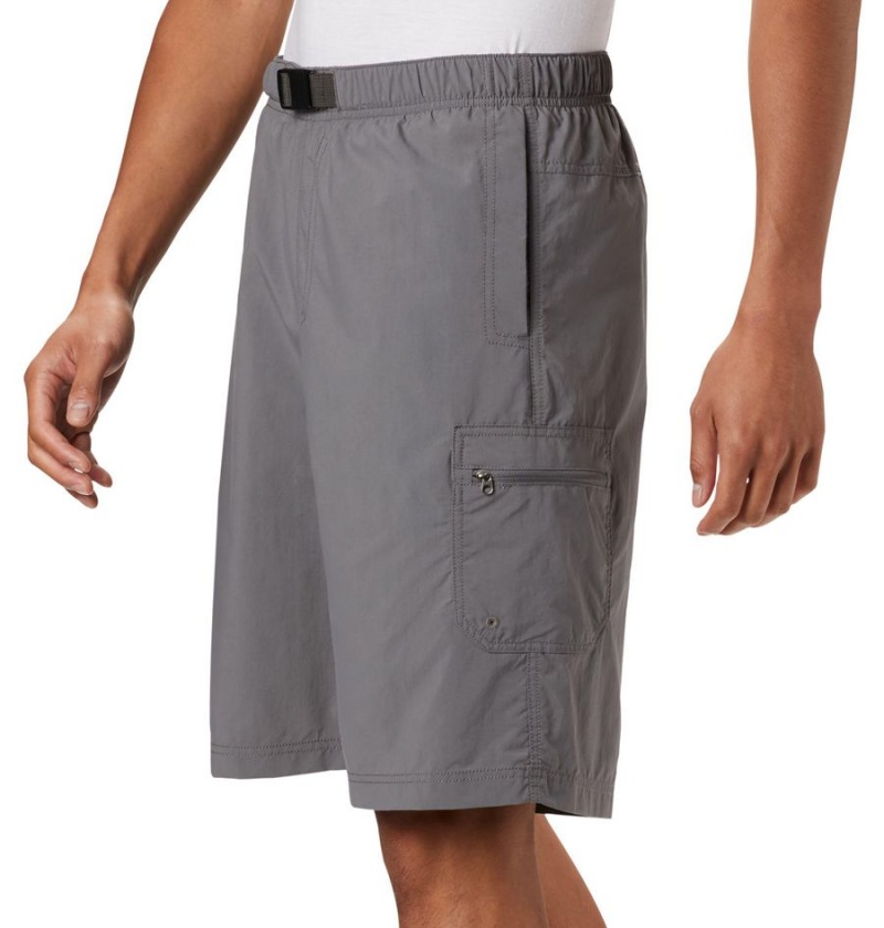 Columbia Palmerston Peak Water Men's Shorts Grey | SDPITF-956