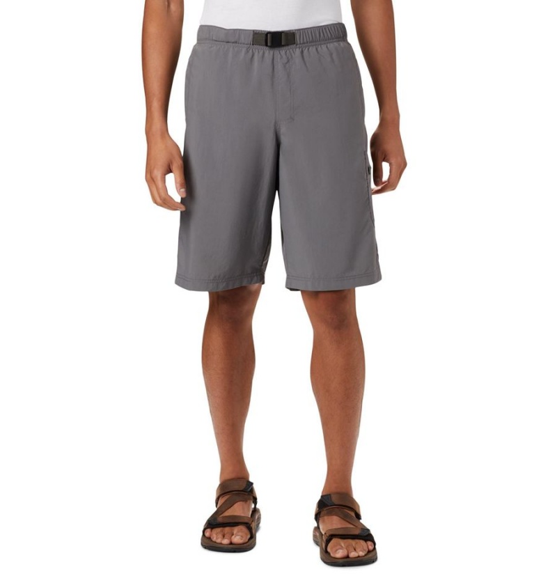 Columbia Palmerston Peak Water Men\'s Shorts Grey | SDPITF-956