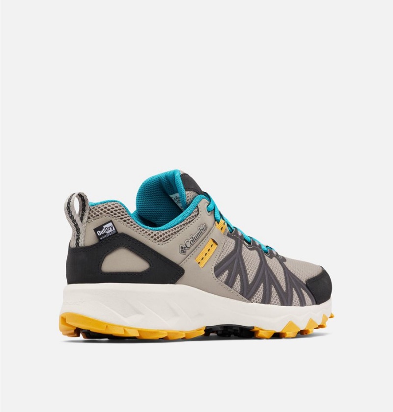 Columbia Peakfreak II OutDry Women's Hiking Shoes Beige | EZJTPA-921