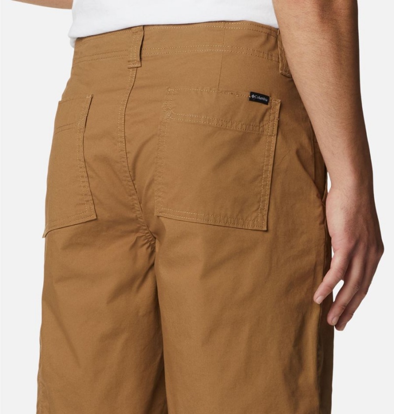 Columbia Pine Canyon Cargo Men's Shorts Brown | BCPXGT-031